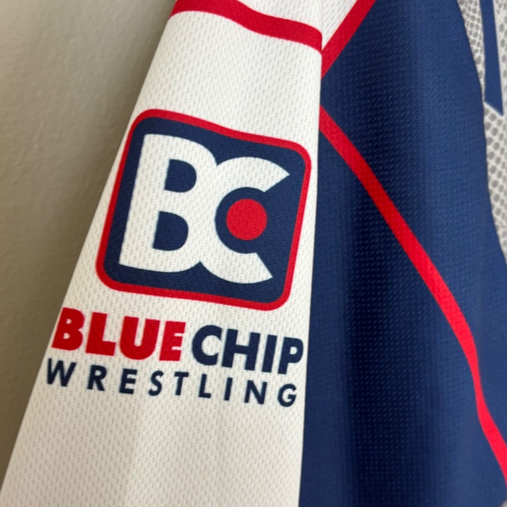 Blue Chip Wrestling Kansas USA Pullover 1/4 Zip shirt Mens Large Grey Red Blue - Picture 5 of 13